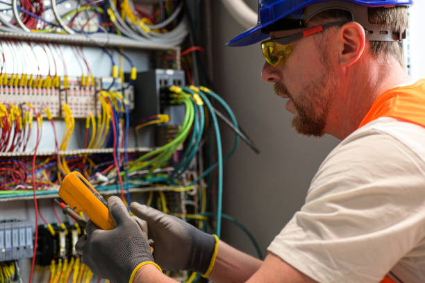 Best Electric Panel Repair  in Sunset, FL